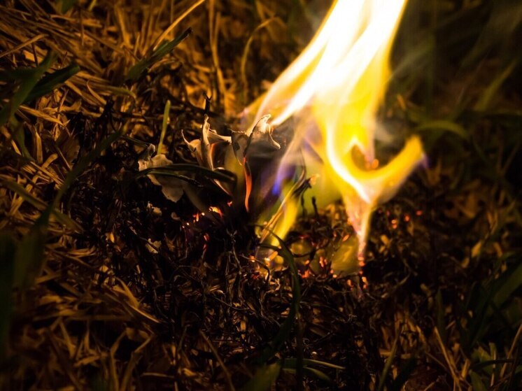 С 3 по 5 мая в Томске сохранится высокая пожароопасность 4 класса