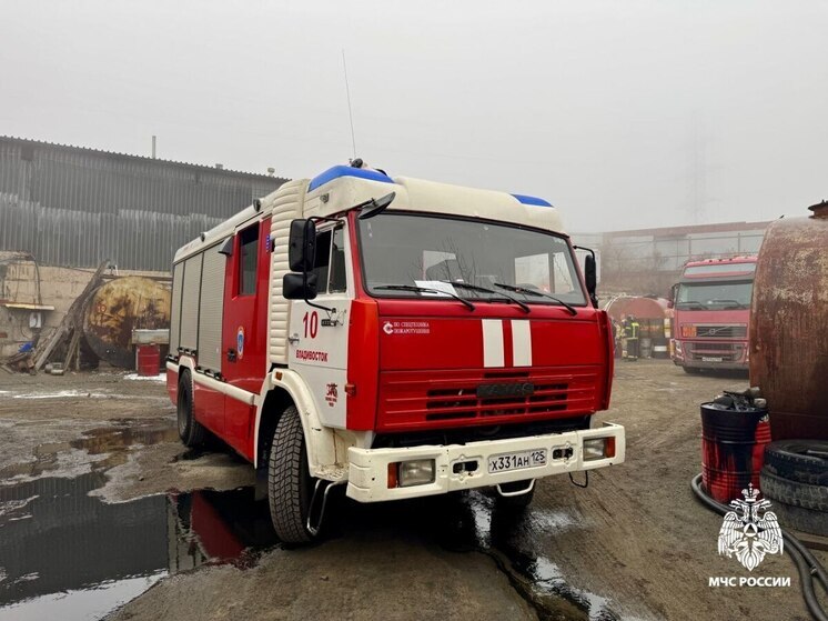 В Приморье за сутки произошло больше 100 пожаров