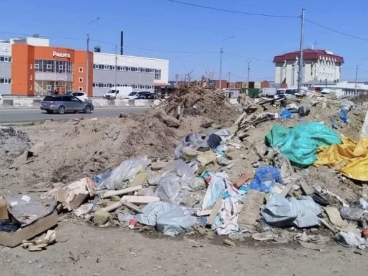 Новосибирцев не устраивает груды мусора на месте бывшей барахолки