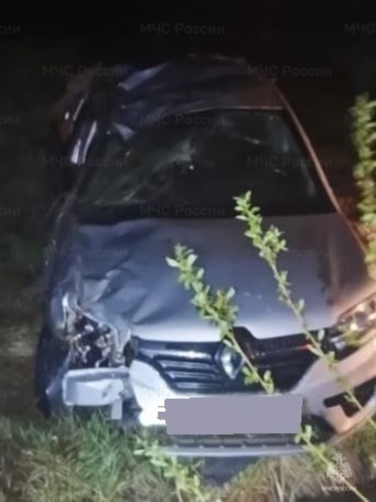 В Ульяновском районе Renault Logan вылетел в кювет