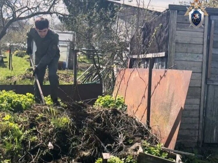 Новгородские следователи помогли 99-летнему ветерану ВОВ перекопать грядки