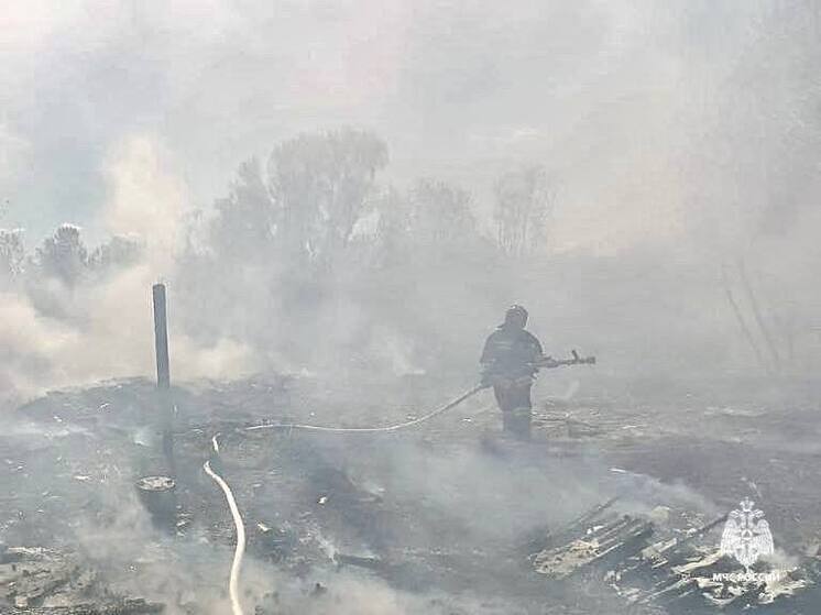 В Белгороде сгорел сарай и сухая трава вокруг