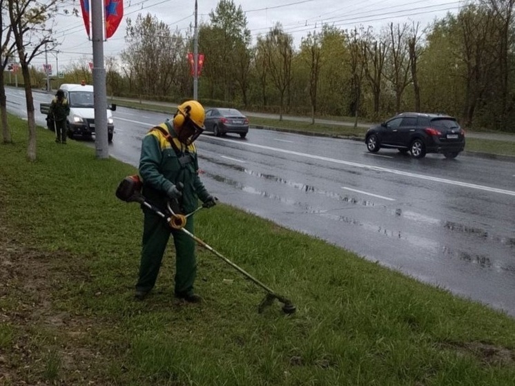  Во Владимире начался сезон окоса травы по утрам
