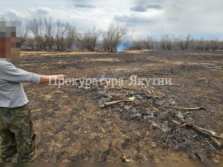 В Мегино-Кангаласском районе выявлен виновник крупного ландшафтного пожара на острове «Хоту арыы»