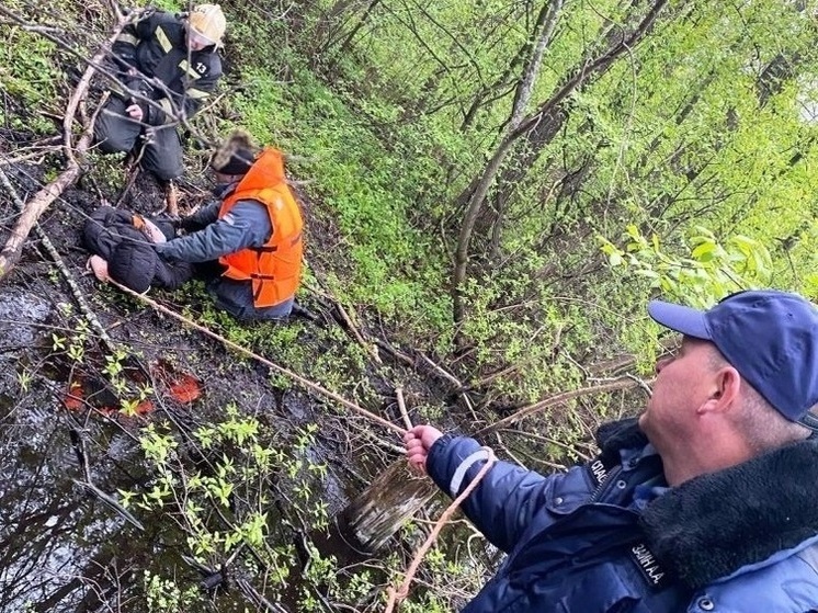 Ивановский подросток чуть не погиб на болоте