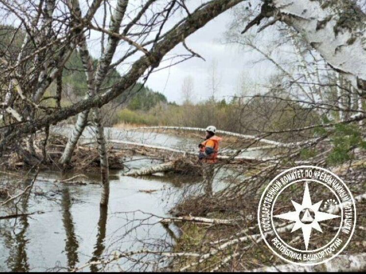 Спасатели Башкирии устранили завал из деревьев на реке Большой Инзер