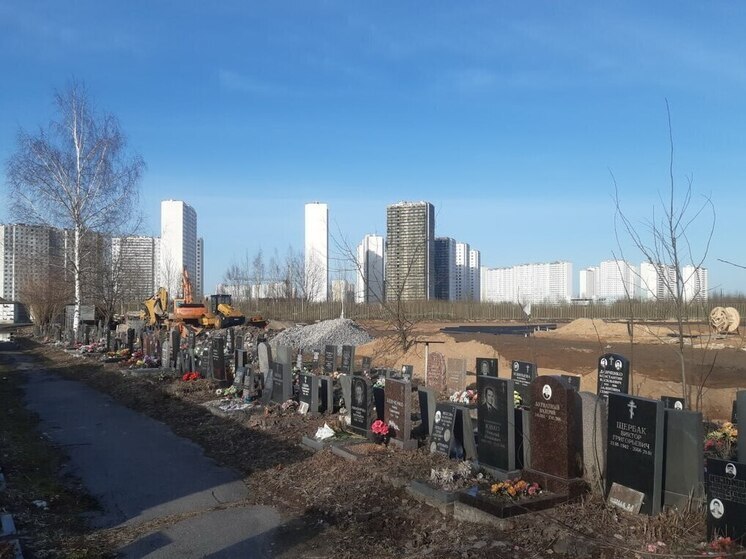 Петербургские специалисты проведут дезинсекцию и дератизацию новгородских кладбищ