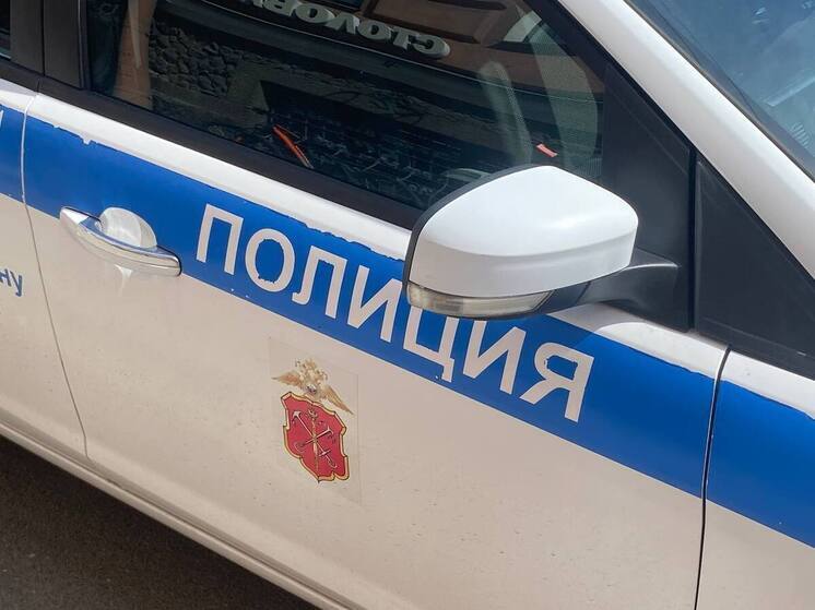 Полиция ищет агрессивного водителя, применившего «перцовку» в конфликте в Выборге