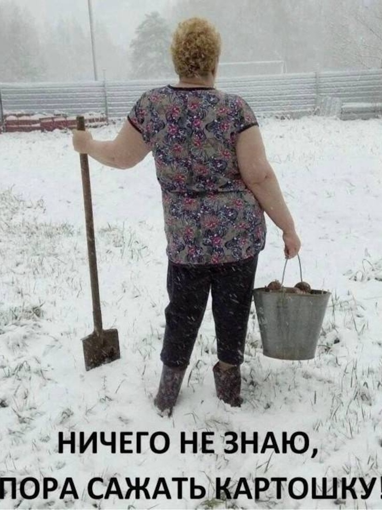 Специалисты-агрономы призывают костромичей не торопиться с посадкой картошки