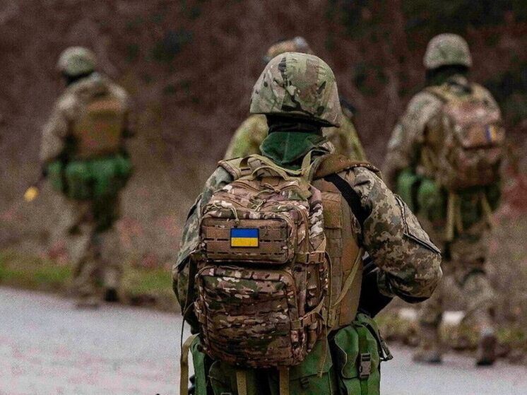 Офицер ВС РФ: на боевиках ВСУ в курском приграничье нашли нацистские шевроны