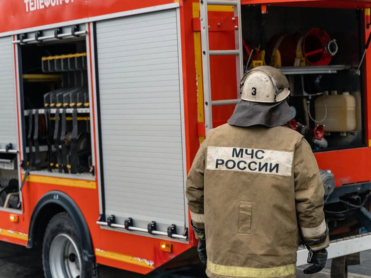 Четыре человека тушили крупный пожар в Пронске
