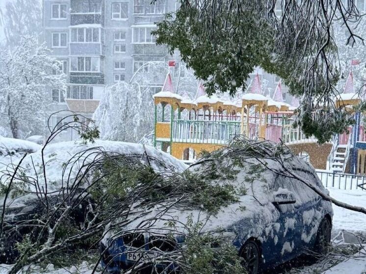 Снежный шторм намел в Подмосковье 15-сантиметровые сугробы