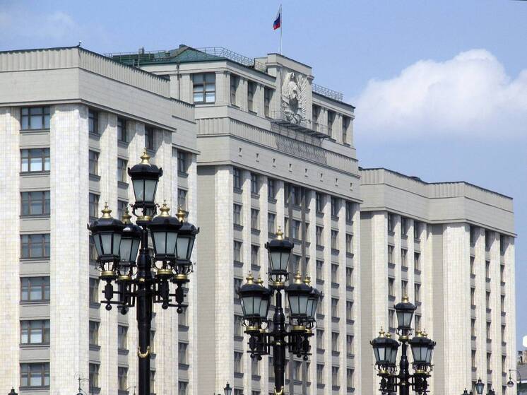 В Госдуму внесли законопроект об уголовной ответственности для дропперов
