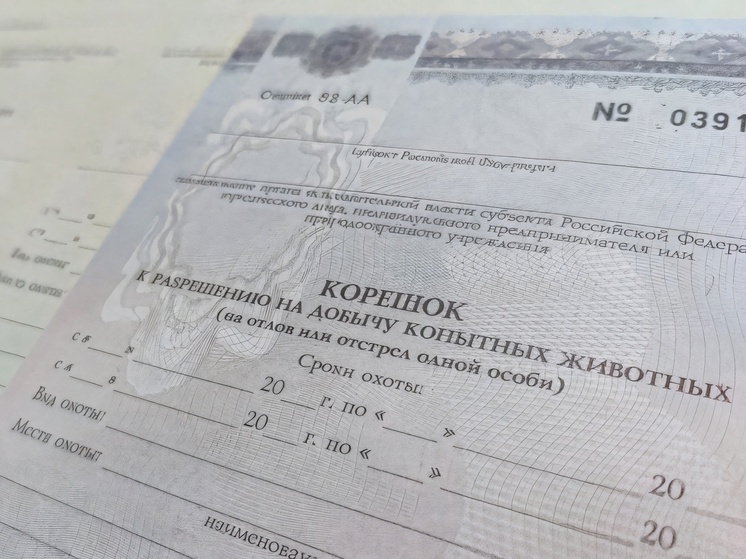 Нижегородские охотники готовятся к новому сезону