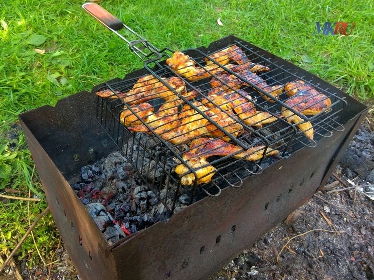 Калужский следком напомнил о правилах шашлыков