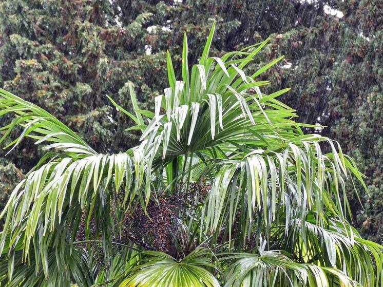 В Сочи ухудшится погода