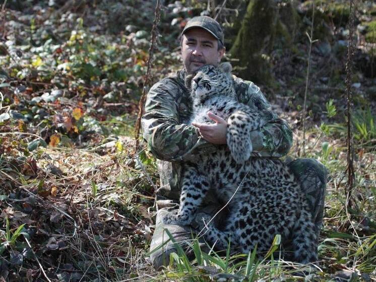 Центру восстановления леопарда на Кавказа в Нацпарке Сочи присвоили имя его основателя