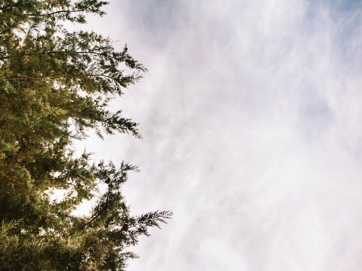 Томичей предупредили о похолодании на выходных