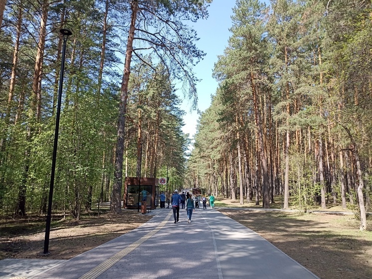 В Новосибирске усилят контроль за поджигателями на майских праздниках с помощью БПЛА