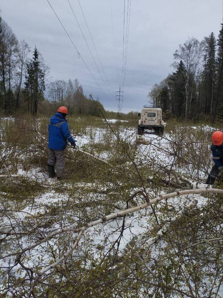 В Тверской области энергетики ликвидируют последствия непогоды