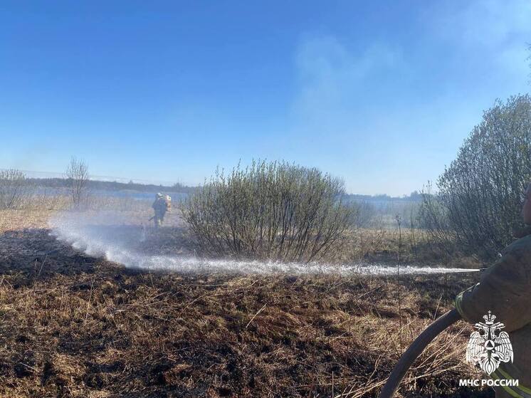 В Тверской области пожарные потушили горящую сухую траву