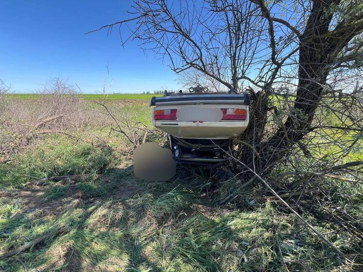 В Красноперекопском районе водитель легковушки погиб, врезавшись в дерево