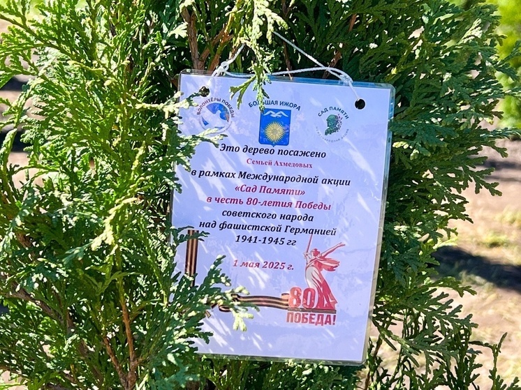 В Большой Ижоре жители посадили Сад памяти