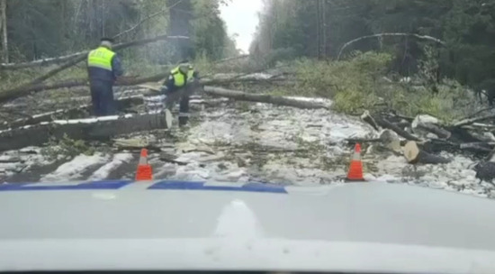 Последствия рекордного майского снегопада в Подмосковье показали на видео