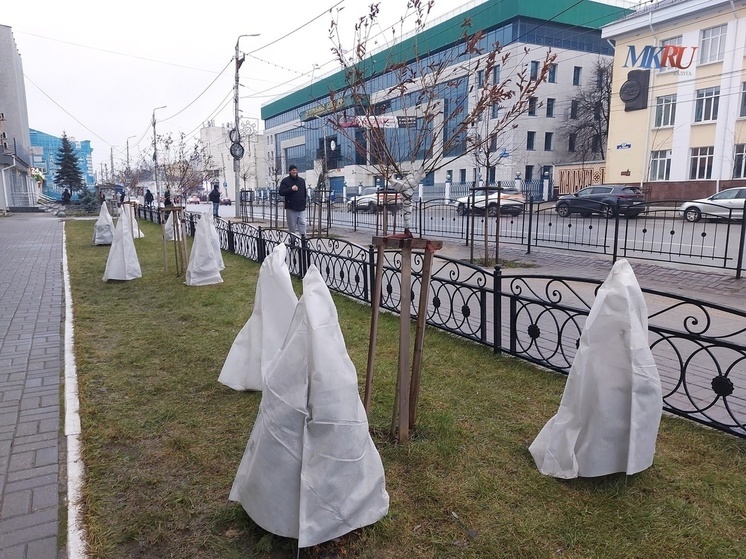 Калужскую область снова накроют заморозки