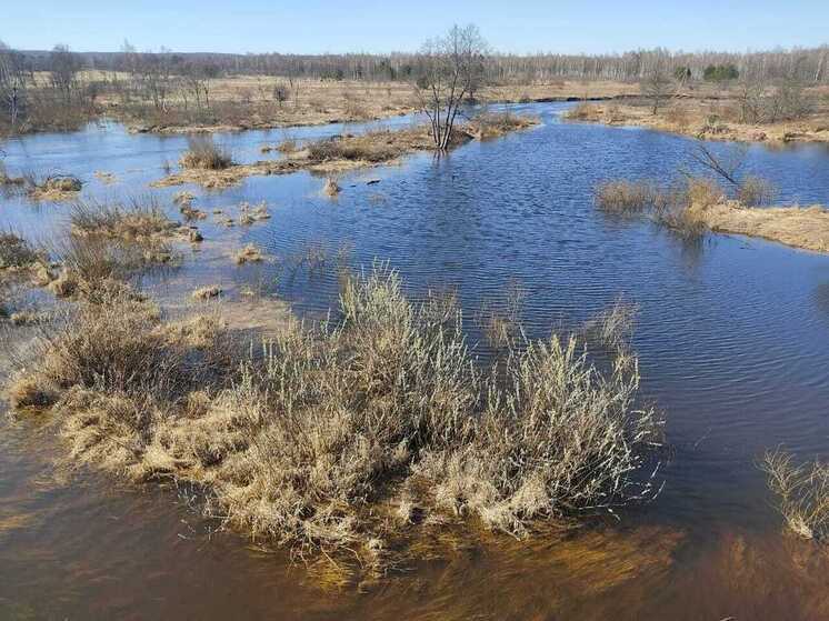 Калужанам напомнили, как вести себя на природе