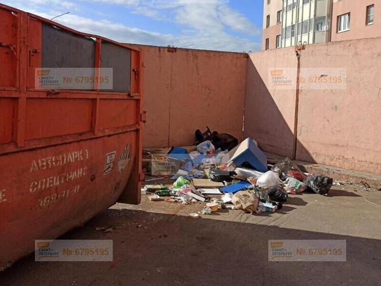 Петербуржцы обратили внимание на гору мусора в Московском районе