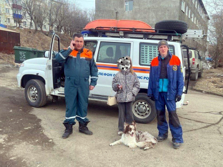 На Камчатке девочка заблудилась в пригородной роще