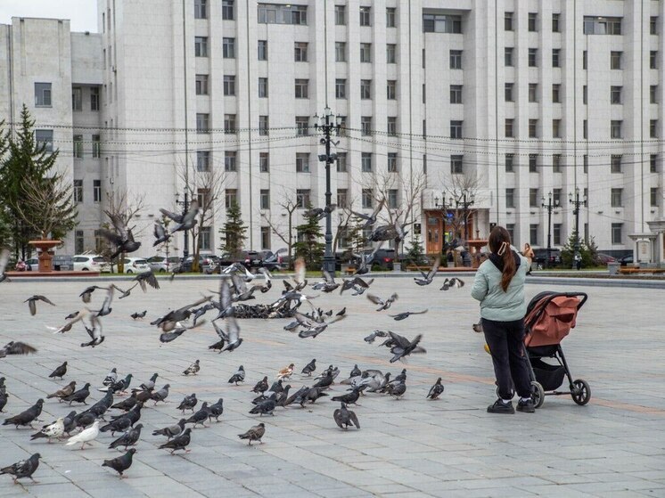 В Хабаровске 3 мая жителям обещают дождь и до +12 градусов