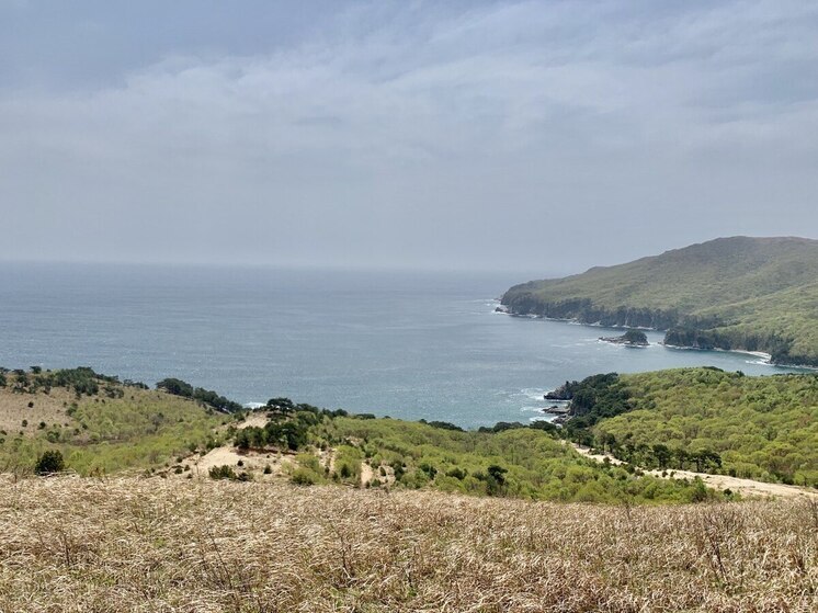 Приморье остается во власти циклона: дождливо и ветрено в субботу