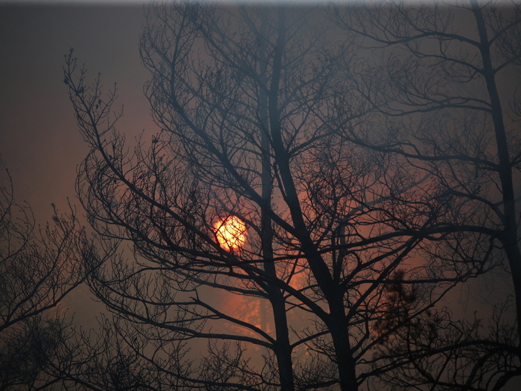 Магнитная буря 3 мая 2025 года: Землю накроют 5-балльные геоудары