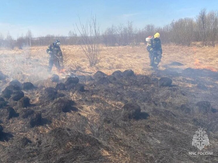 За сутки в Красноярском крае потушили 25 возгораний