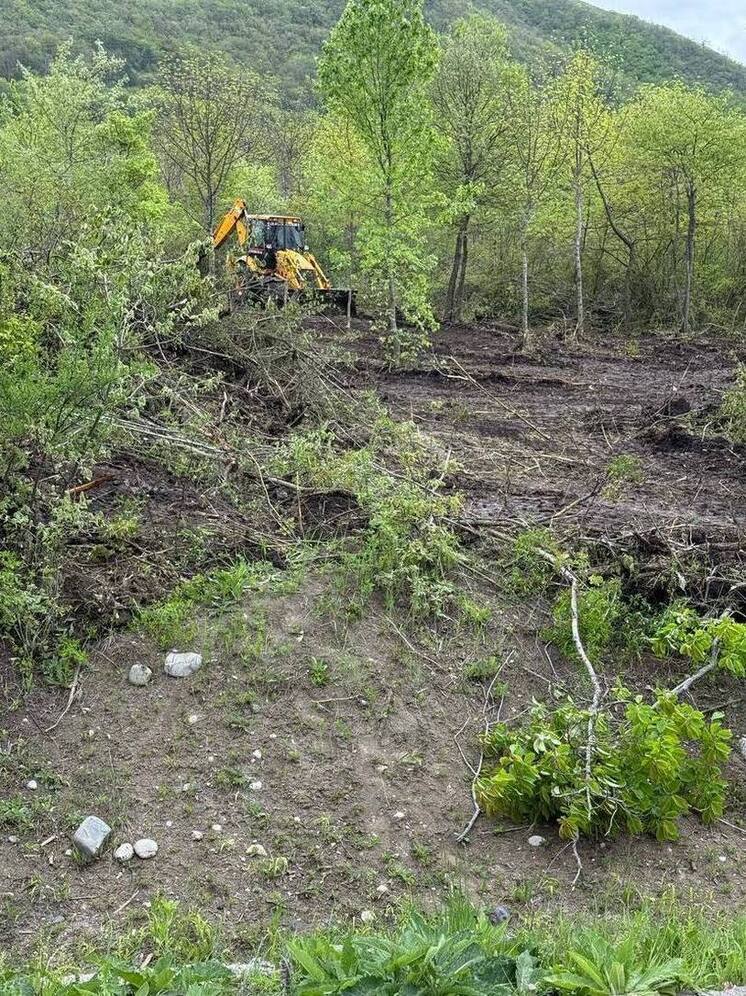 Глава Пятигорска отреагировал на факт незаконной рубки деревьев на горе Машук