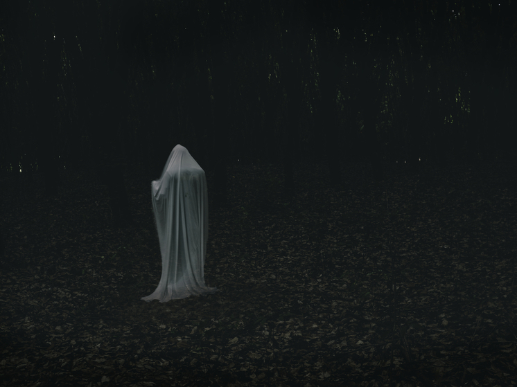 Что скрывает наш мозг: учёные объяснили, почему мы видим привидений