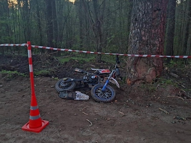В Маревском округе водитель «Демона» вылетел с дороги и врезался в дерево