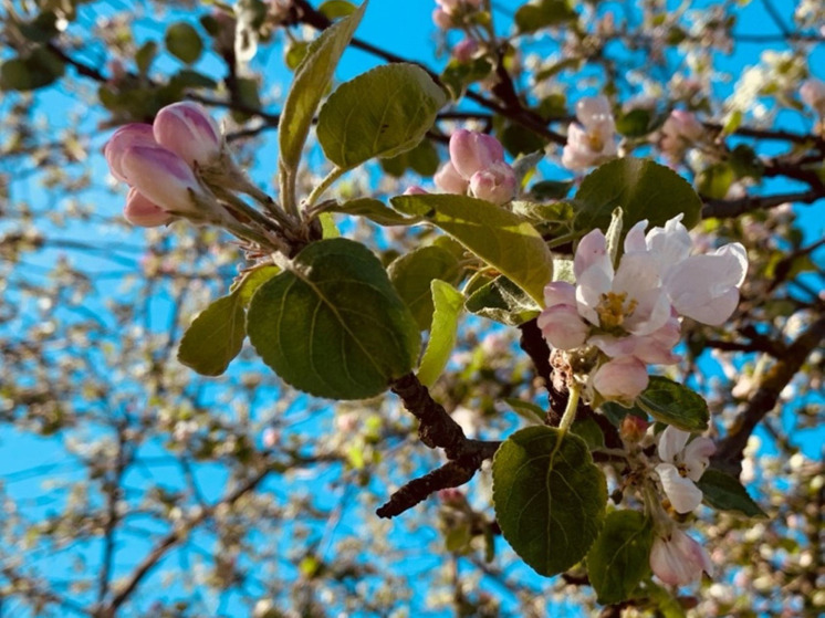 В Калуге потеплеет и не будет дождей