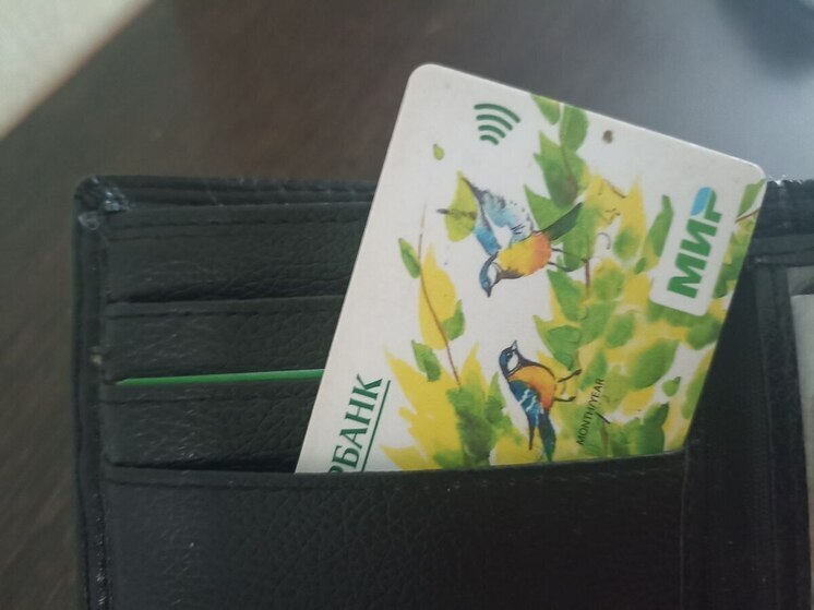 Жительнице Абакана грозит шесть лет заключения за халяву