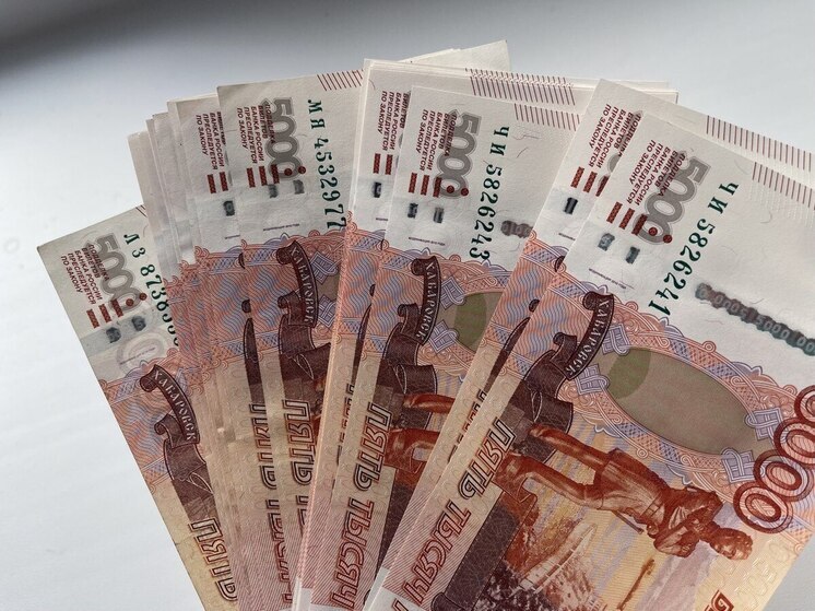 13 миллионов на реанимобиль: тендер в Пензе оказался под вопросом