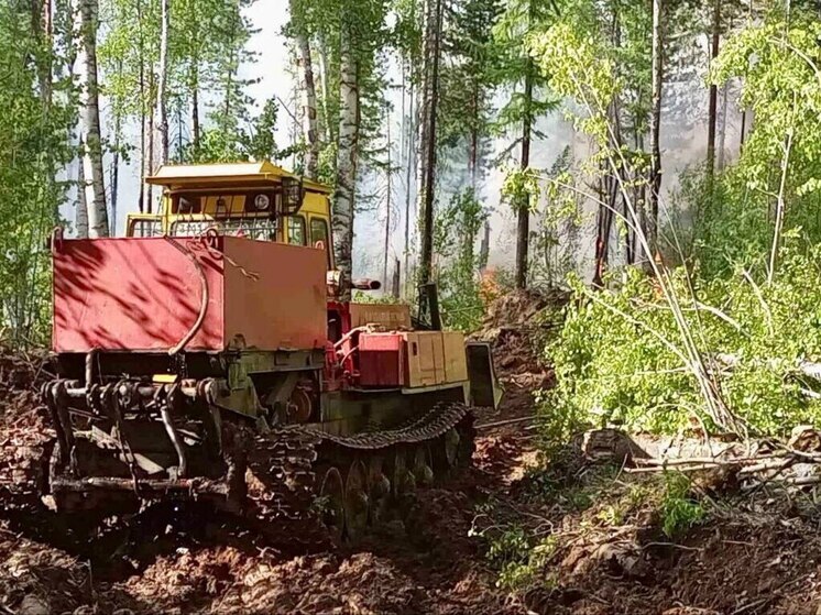 Семь лесных пожаров потушили в Приангарье за сутки