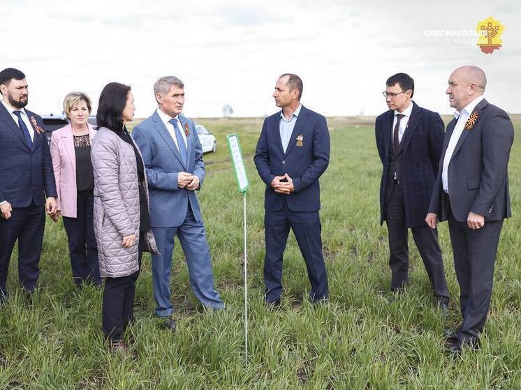 Олег Николаев: в 2025 году аграрии Чувашии получат 5 млрд рублей господдержки