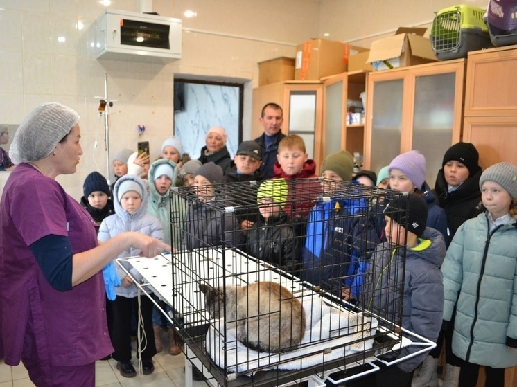 Школьники из Чебоксарского округа навестили пункте временного содержания зверей
