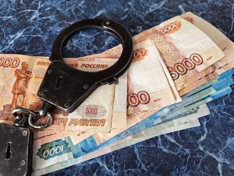 С начала 2025 года мошенники украли у хабаровчан свыше 346 миллионов рублей