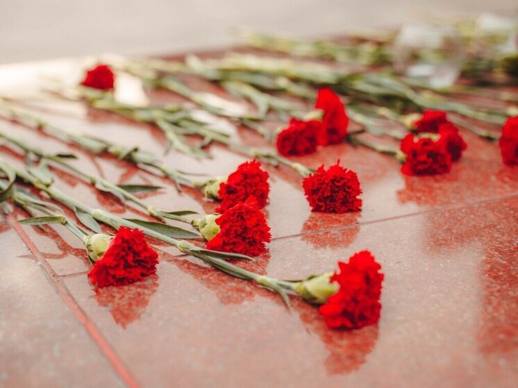 Короткометражные фильмы о войне увидят жители Владивостока 9 мая