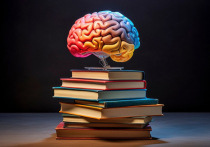 Вы когда-нибудь измеряли свой коэффициент интеллекта (IQ)? А более 19 тысяч россиян сделали это в прошлом году и вывели страну на шестое место в мире по его уровню