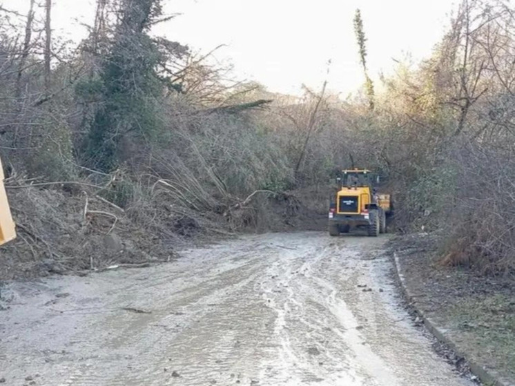 Сель заблокировал единственную дорогу в сочинском селе