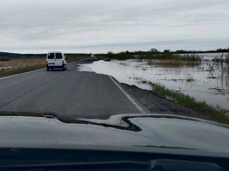 19 дорог закрыты в Тюменской области из-за паводка
